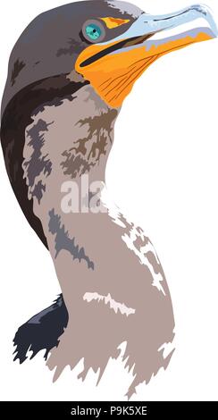 Florida Everglades National Park cormorano vettore dettagliate design - Logo, paraurti adesivo Idea Illustrazione Vettoriale