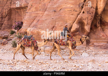 PETRA, GIORDANIA - Aprile 28, 2016: Beduino giovane in sella al suo cammello in Petra Giordania Foto Stock