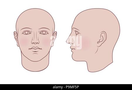 Disegnato a mano testa umana in faccia e profilo. Vettore piatta isolati su sfondo bianco. I disegni possono essere usati ciascuno indipendentemente dall'altro. Illustrazione Vettoriale