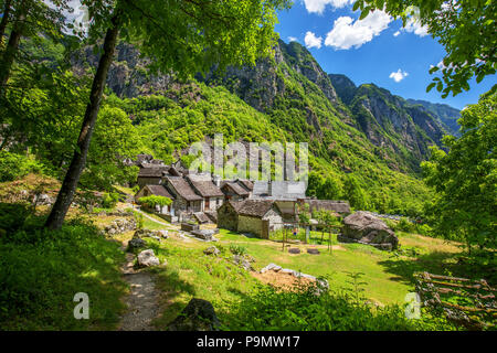 Forogio villaggio con le tipiche case in pietra e Alpi Svizzere, Val Bavona, Canton Ticino, Svizzera, Europa. Foto Stock