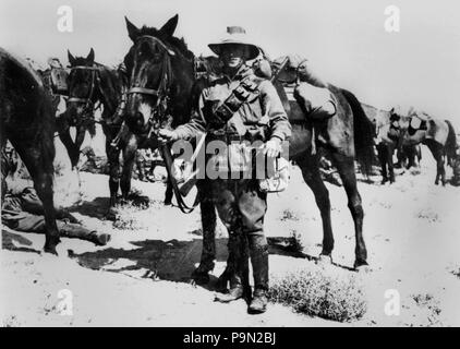 302 StateLibQld 2 185147 Membro della Australian 2a cavallo di luce in servizio attivo in Medio Oriente, ca. 1917 Foto Stock