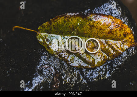 Gli anelli di nozze di close-up su umido giallo autunno texture foglia Foto Stock