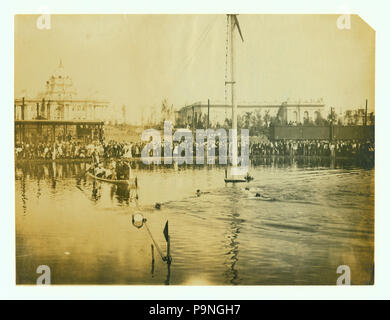 26 Olimpiadi 1904- Nuoto, 100 yard freestyle, finitura della seconda calore (vinta da Charles Daniels, US) Foto Stock