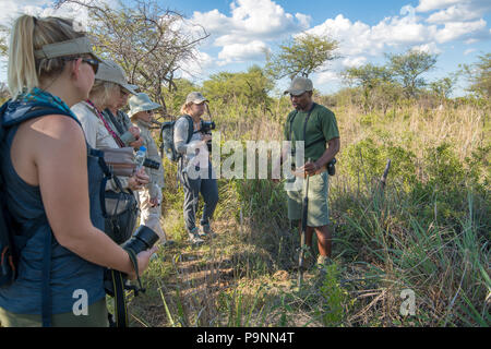 Un gruppo di turisti si riuniscono insieme per ascoltare la loro guida. Zimbabwe Foto Stock