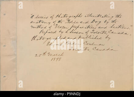 88 una serie di fotografie che illustrano la anatomia del cavallo e cane mediante il metodo di preparazioni congelate e sezioni preparate da S Sisson di Toronto (HS85-10-9846-1) Foto Stock