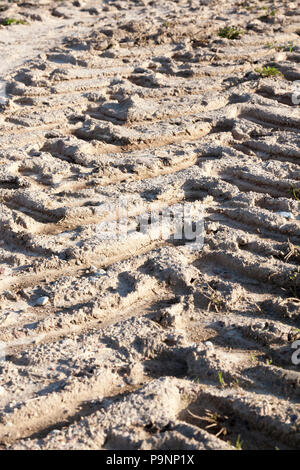 Tracce profonde del trattore, lato sinistro sul terreno che si asciugata, fotografia di close-up, vista in un angolo Foto Stock