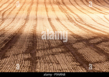 Terreno arato Foto Stock