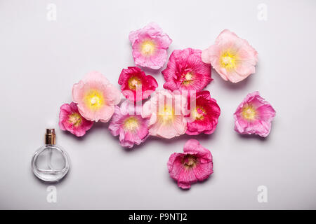 Le donne della bottiglia di profumo e di rosa fiori di malva. Il minimalismo Il concetto di bellezza Foto Stock