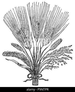 164 Atlantis - Il mondo antidiluviana 1882 p062 Foto Stock