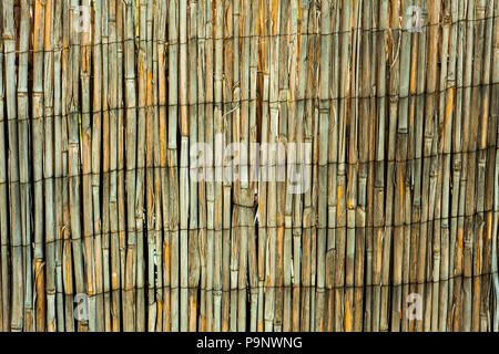 Recinzione di bambù secco grana di legno Foto Stock