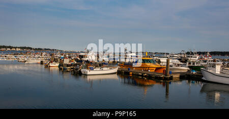 La vita intorno a Poole Quay ad Harbour Foto Stock