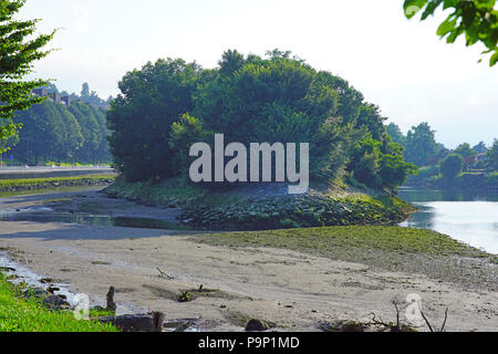 HENDAYE, Francia- Pheasant Island, un'isola disabitata sul Fiume Bidasoa tra Hendaye e Irun (Spagna), un unico condominio in diritto internazionale Foto Stock