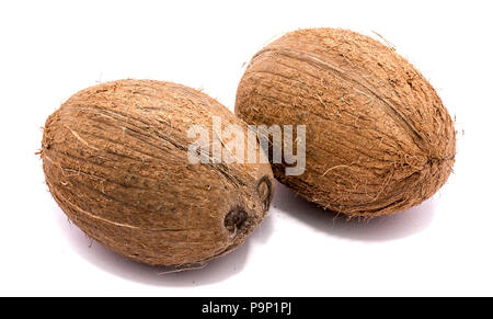 Due noci di cocco intero isolato su sfondo bianco Foto Stock