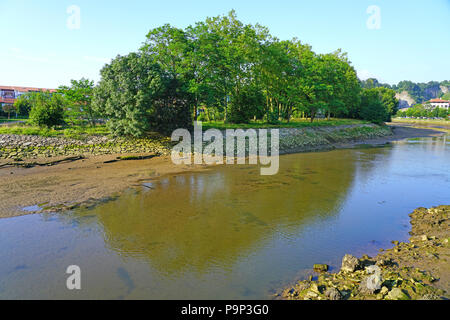 HENDAYE, Francia- Pheasant Island, un'isola disabitata sul Fiume Bidasoa tra Hendaye e Irun (Spagna), un unico condominio in diritto internazionale Foto Stock