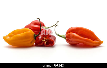 Habanero peperoncino rosso e arancio due fette di metà isolato su sfondo bianco caldo pepe cinese Foto Stock