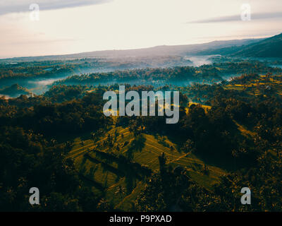 Vista aerea del drone della mattina nebbiosa nebbia nel paesaggio di Bali, Indonesia. Foto Stock
