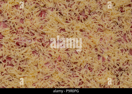 La salsiccia con la carne sulla pasta con la maionese e formaggio, preparato per pizza Foto Stock