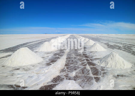 Vista prospettica del sale di essiccazione pali su Uyuni saline o Salar de Uyuni in Potosi, Bolivia, Sud America Foto Stock