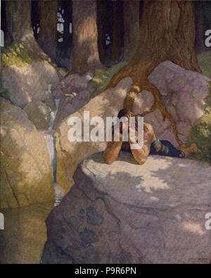 230 ragazzi King Arthur - N. C. Wyeth - p52 Foto Stock