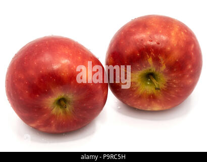 Due interi red Kanzi mele isolati su sfondo bianco Foto Stock