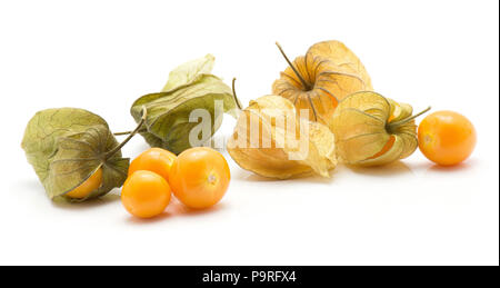 Bacche Physalis pila isolati su sfondo bianco molti in lolla quattro bacche arancio Foto Stock