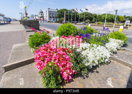 Comunità fiori in mostra come parte del Worthing town center iniziativa lungomare piantare, in Marine Parade in Worthing West Sussex, in Inghilterra, Regno Unito. Foto Stock