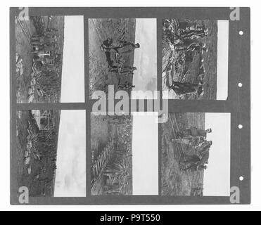 274 canadese guerra ufficiale fotografie (BL l.r.233.b.57.v2 f061r) Foto Stock