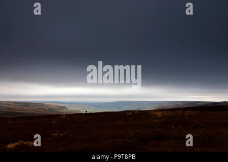 Il camminatore solitario sulla costa a costa il percorso nella parte anteriore del Rosedale vallata da Westerdale Moor, North Yorkshire Moors, nello Yorkshire, Inghilterra, Regno Unito Foto Stock