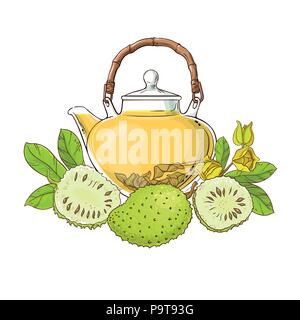 Soursop tè nella teiera illustrazione su sfondo bianco Illustrazione Vettoriale