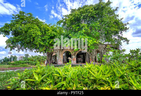 Un antico tempio pieno di radici sticking Bodhi resistere nel tempo. Il tempio è deserta ma attrae persone per scattare le foto Foto Stock