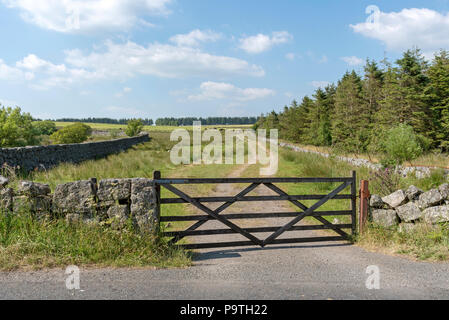 Cinque bar porta ad una fattoria entrata. Devon, Inghilterra, Regno Unito Foto Stock