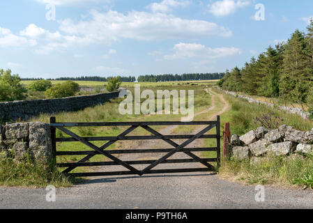 Cinque bar porta ad una fattoria entrata. Devon, Inghilterra, Regno Unito Foto Stock
