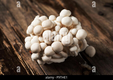 Primo piano di un mazzetto di greggio bunapi giapponese-funghi shimeji, noto anche come il faggio bianco o bianco di funghi a conchiglia, su una tavola in legno rustico Foto Stock