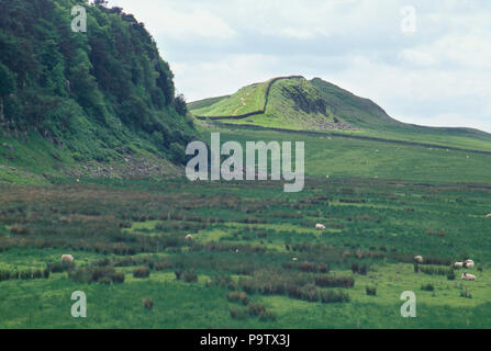 Il Vallo di Adriano, dell Impero Romano confine in Northumbria, INGHILTERRA, II secolo D.C. Fotografia Foto Stock