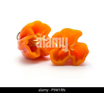 Orange peperoncino habanero due metà con semi isolato su sfondo bianco caldo pepe cinese Foto Stock