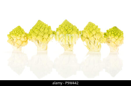 Verde cavolfiore Romanesco isolati su sfondo bianco cinque pezzi in fila Foto Stock