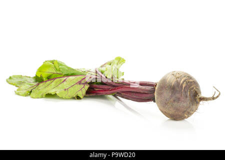 La barbabietola rossa con verde isolato su sfondo bianco una radice della lampadina con foglie Foto Stock