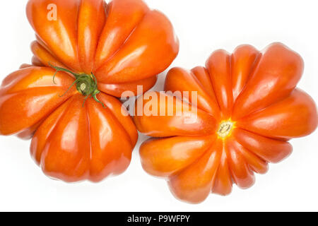 Due pomodori carne di manzo (la farfalla e forme a fiore) vista dall'alto isolato su sfondo bianco one big mature costolatura rossa flatlay Foto Stock