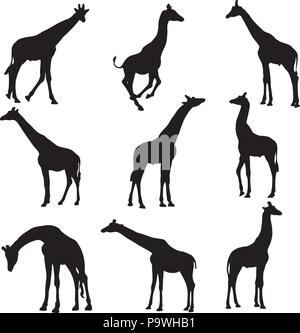 Clipart di silhouette nera giraffa. isolato illustrazione vettoriale Illustrazione Vettoriale