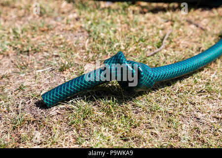 Tubo flessibile annodato giacente su erba arida Foto Stock