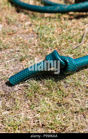 Tubo flessibile annodato giacente su erba arida Foto Stock