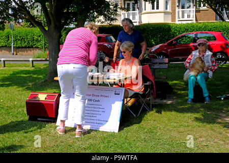 East Preston, West Sussex, Regno Unito. Fun dog show tenutosi il villaggio verde con la signora la vendita di biglietti di lotteria per il premio in denaro disegnare Foto Stock
