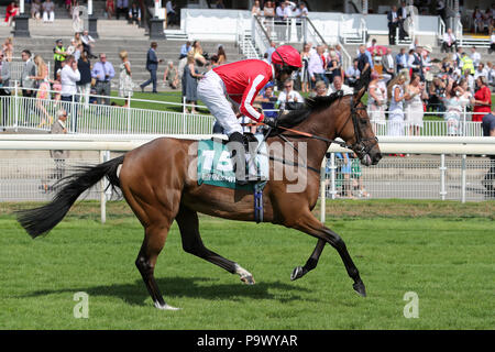 Mordin cavalcato da fantino Graham Lee andando a post prima 59a John Smith's Cup Handicap durante il giorno due di John Smith's Cup incontro a York Racecourse. Foto Stock