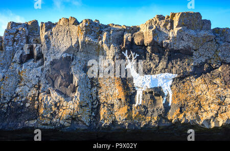 Il dipinto di roccia White Stag, Blackrocks Point, Bamburgh, Northumberland, Inghilterra Foto Stock