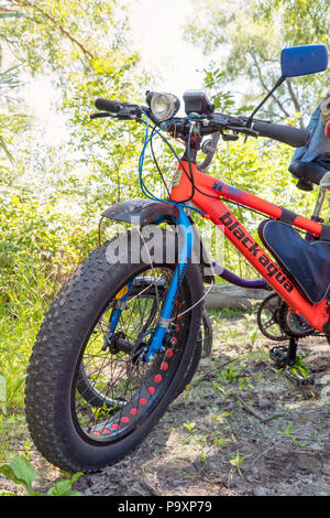 Fat-Bike mountain bike con pneumatici di spessore nella foresta Foto Stock