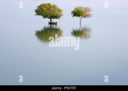 Due alberi e una barca su un area allagata indiana di campagna con unici e bellissimi riflessi di luce in India Foto Stock