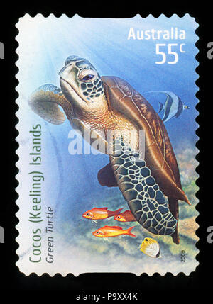 AUSTRALIA - circa 2009: un timbro stampato in Australia mostra tartaruga verde a Isole Cocos (Keeling), circa 2009 Foto Stock