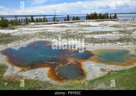 West Thumb, il Parco Nazionale di Yellowstone Foto Stock