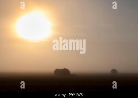 Un paio di pile di paglia in estate mattina durante la nebbia, aurora del Sole, un paesaggio con scarsa visibilità Foto Stock