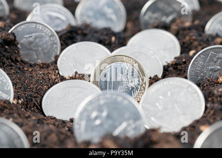 Un euro e monete americano che cresce dal terreno sul campo, primo piano Foto Stock